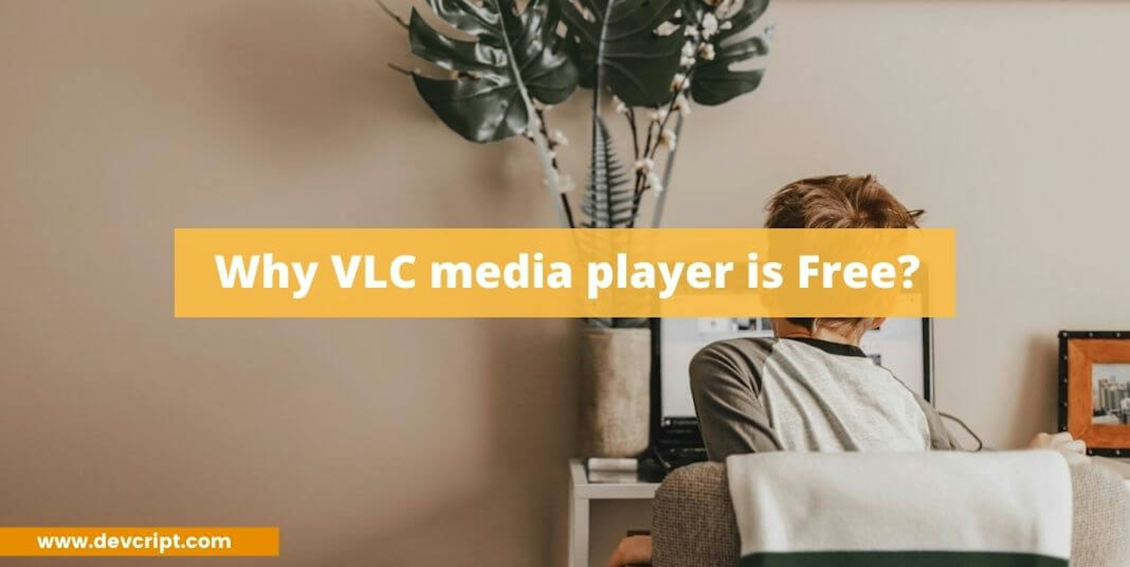 Why VLC media player is Free?