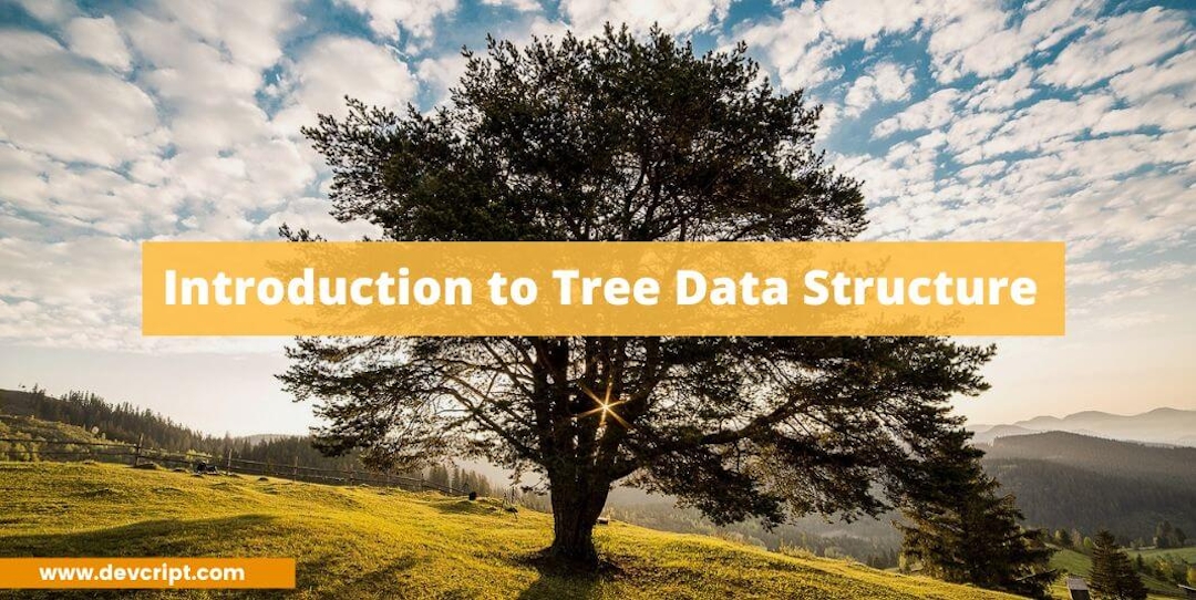 Introduction to Tree Data Structure